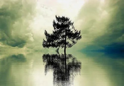 孤独到底是什么意思啊！