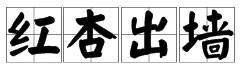 红杏出墙什么意思