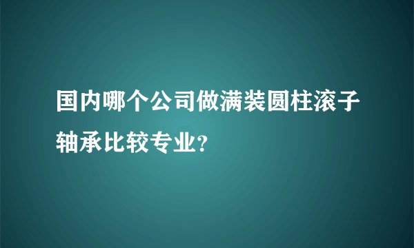 国内哪个公司做满装圆柱滚子轴承比较专业？