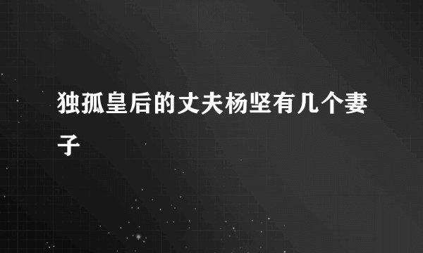 独孤皇后的丈夫杨坚有几个妻子