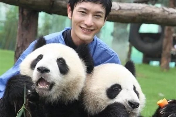 网曝潘粤明的微博几乎被熊猫覆盖!哪些艺人特别钟情于国宝熊猫?