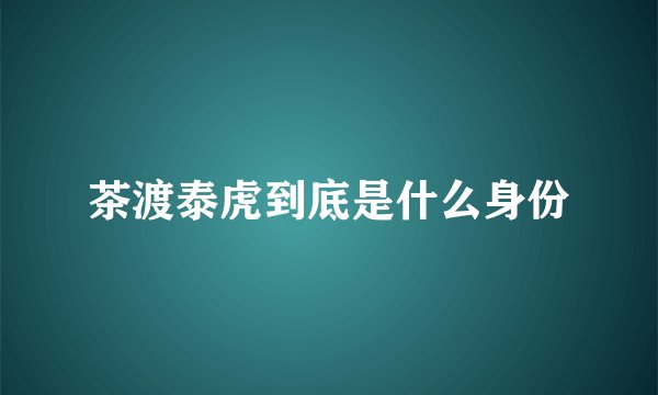 茶渡泰虎到底是什么身份