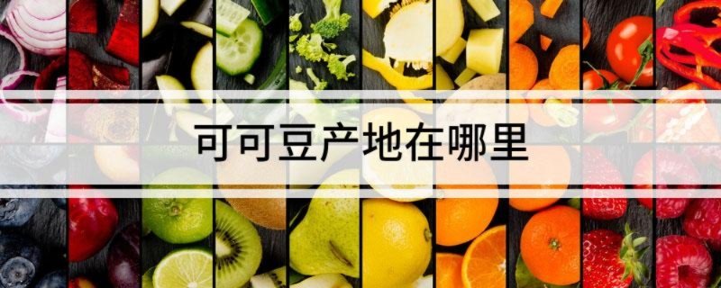 可可豆产地在哪里