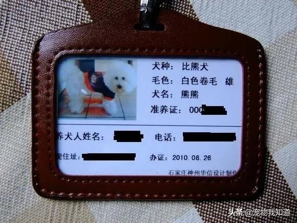 给宠物狗办证需要什么流程？有必要吗？