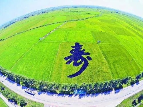 黑龙江省国家级贫困县名单