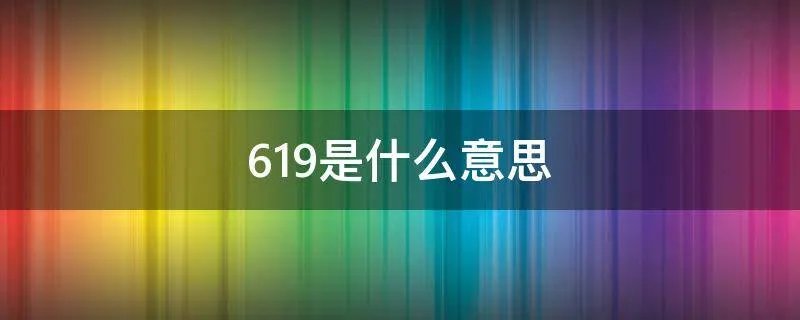 619是什么意思