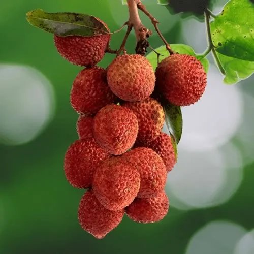 【泉州美食攻略】泉州特色美食有哪些 泉州名小吃 泉州好吃的餐厅盘点