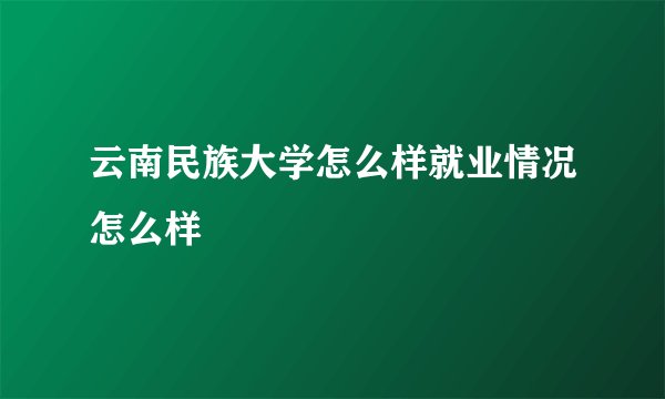 云南民族大学怎么样就业情况怎么样
