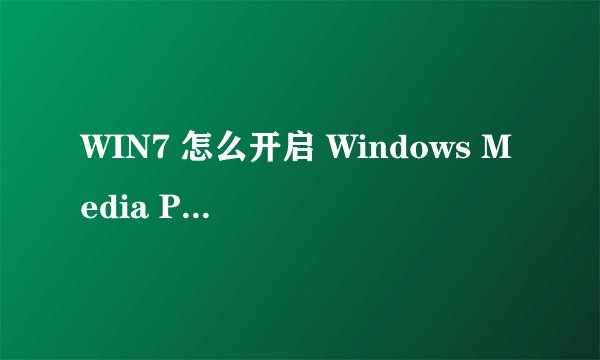WIN7 怎么开启 Windows Media Player Network Sharing Service