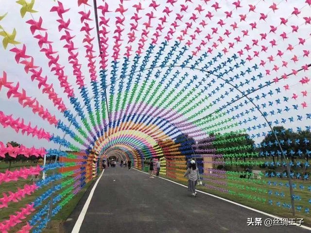 春天已在路上，疫情还会远吗？