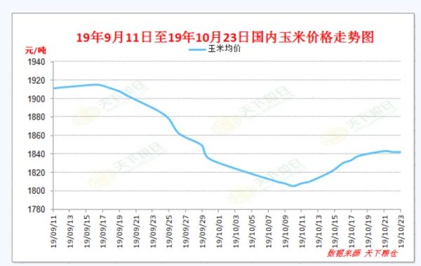 玉米价格多少钱一斤今日玉米价格表