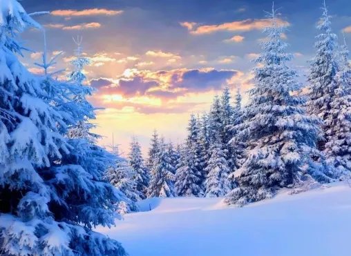 全国多地迎入秋首场降雪