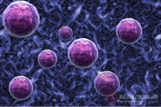 蛇盘疮怎样治疗好