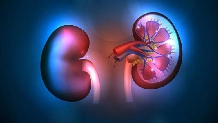 肾移植是怎么回事？