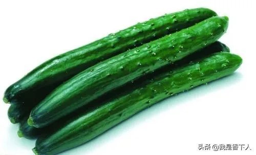 黄瓜种子哪个好？
