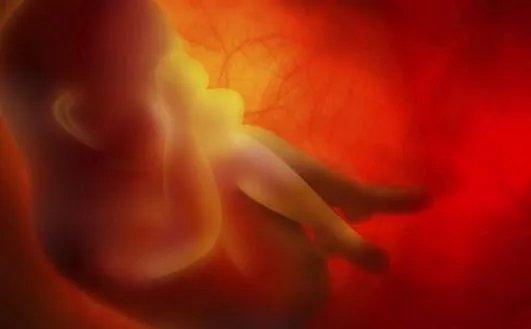 西安庄捐卵试管机构-西安可以做供卵试管吗（西安哪家医院可以做试管婴儿）