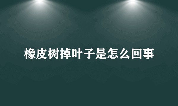 橡皮树掉叶子是怎么回事