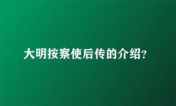 大明按察使后传的介绍？