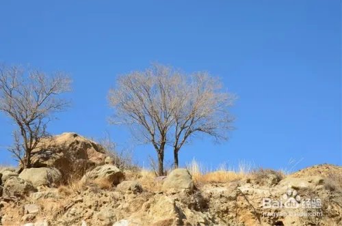 贺兰山旅游攻略