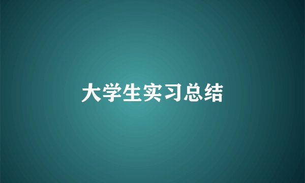 大学生实习总结