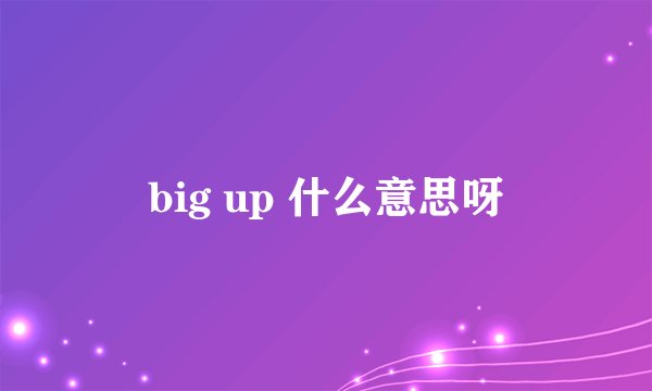 big up 什么意思呀