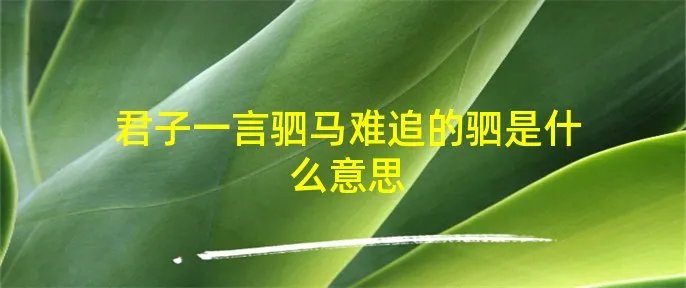 君子一言驷马难追的驷是什么意思