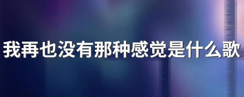 我再也没有那种感觉是什么歌 我再也没有那种感觉完整歌词