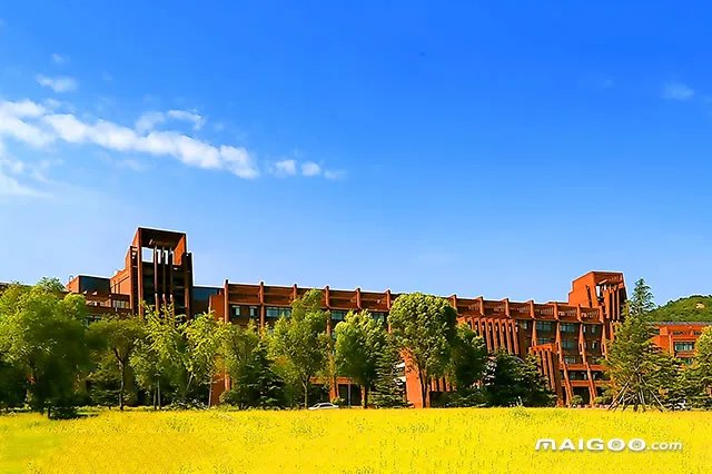 2022山东理工类大学名单 山东有哪些理工类大学比较好