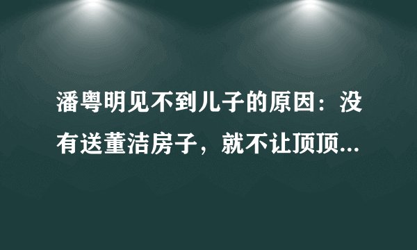 潘粤明见不到儿子的原因：没有送董洁房子，就不让顶顶认祖归宗