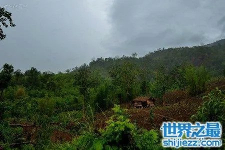 缅甸的野人山是一座十分可怕的山 据说很少有人活着走出去 
