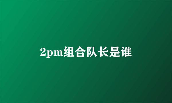 2pm组合队长是谁
