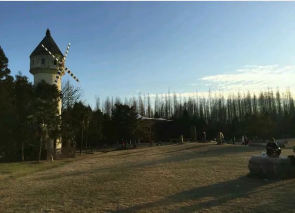 崇明西沙湿地公园