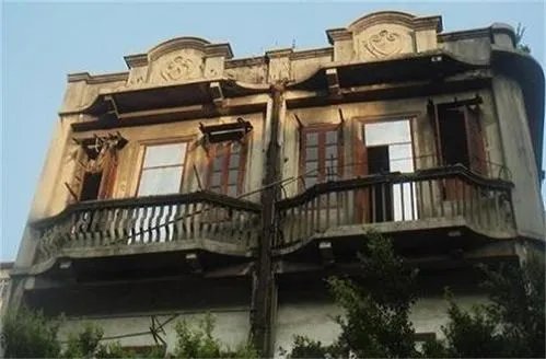 草字头 1个番念什么怎么组词