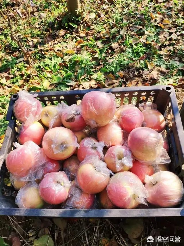 山西运城的房价怎么样？