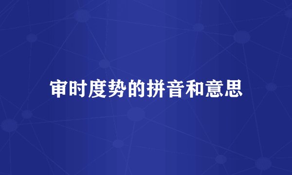 审时度势的拼音和意思