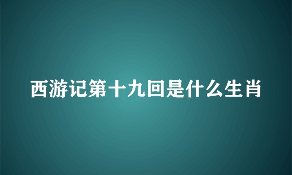 西游记第十九回是什么生肖