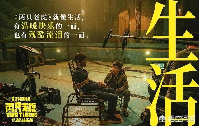 《两只老虎》这部电影好看吗?讲述了什么内容?