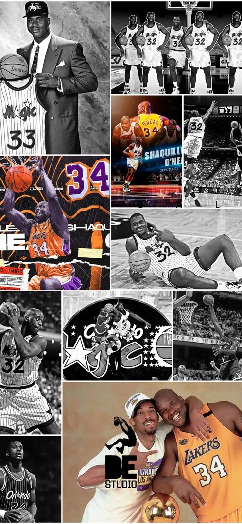 沙奎尔奥尼尔简介