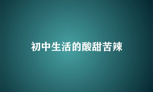 初中生活的酸甜苦辣