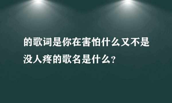 的歌词是你在害怕什么又不是没人疼的歌名是什么？