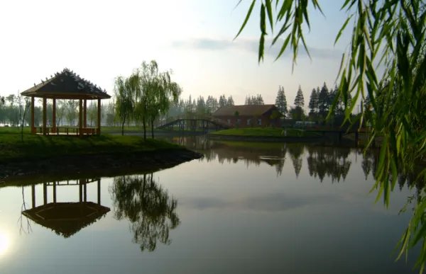 崇明西沙湿地公园