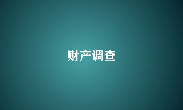 财产调查