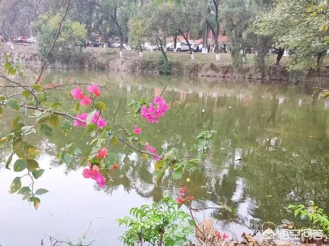 广东有哪些比较好的高职院校？