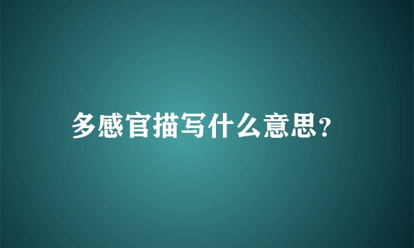 多感官描写什么意思？