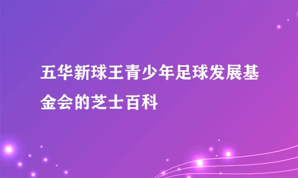 五华新球王青少年足球发展基金会的芝士百科
