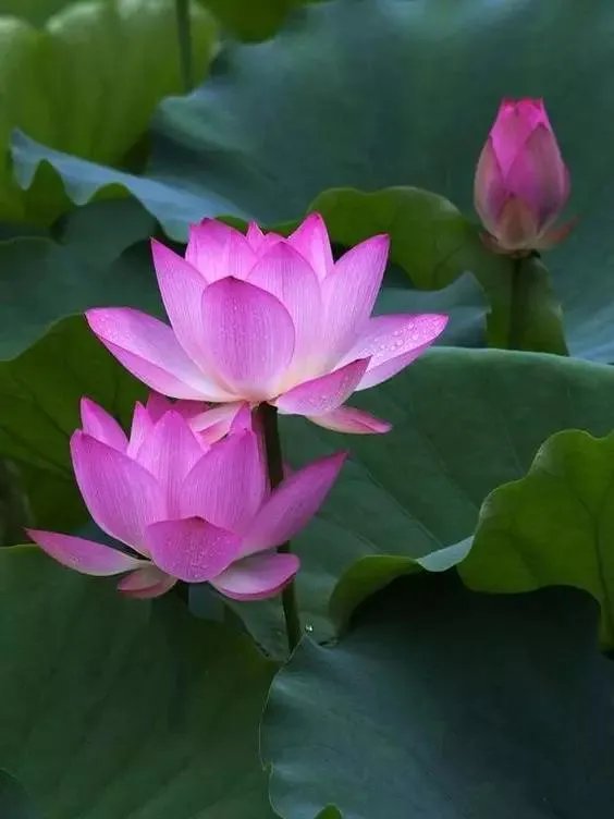 发财路是想出来吗？