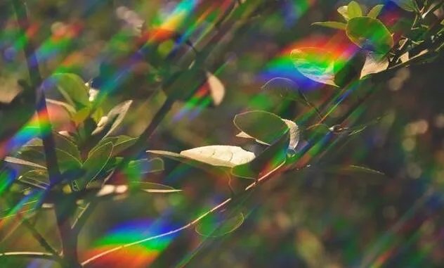 2018年服装流行趋势,款式,颜色