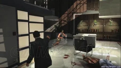 《马克思佩恩3》图文全流程攻略