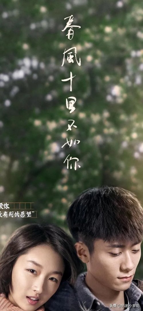 怎么评价电视剧《春风十里不如你》?剧中演员的表现如何?