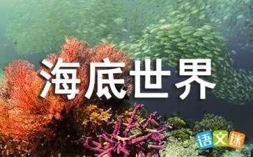 美丽的海底世界